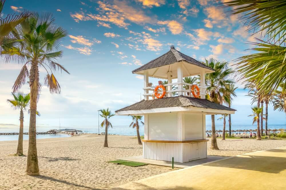 Empty beach in Marbella with palm trees and sun loungers