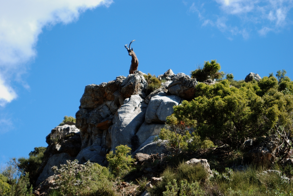 Marbella sightseeing: The rocky outcrop of the Juanar Forest with a horned animal in the shot