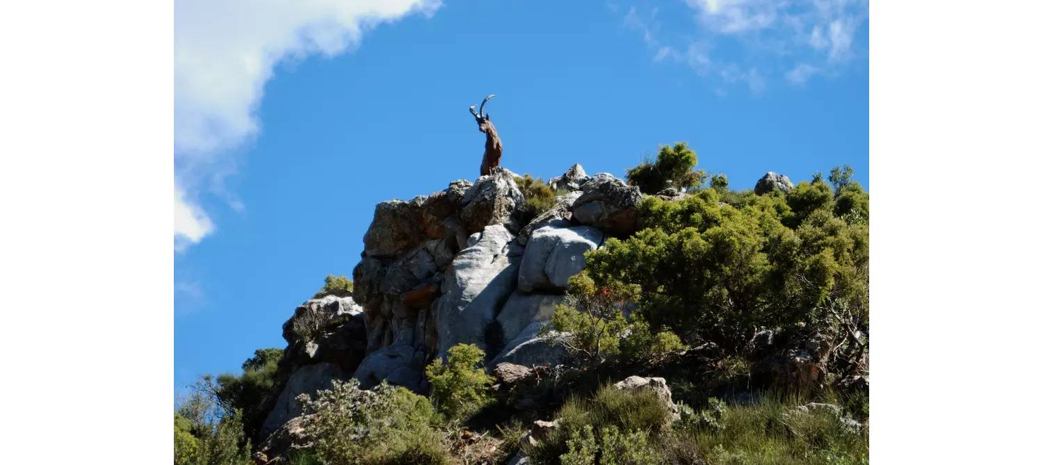 Marbella sightseeing: The rocky outcrop of the Juanar Forest with a horned animal in the shot