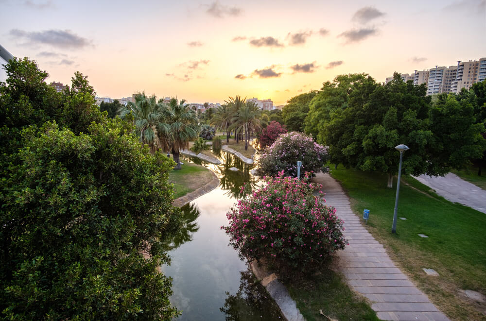 Turia Garden: A green park with trees and a river running through it