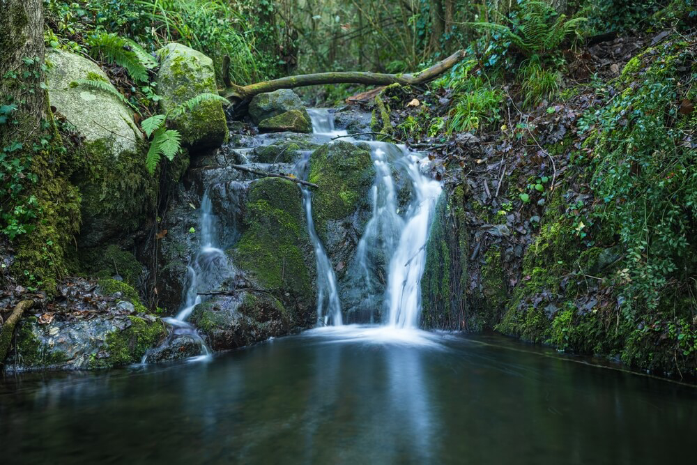 A small waterfall amid the dense forest of Montseny nature reserve