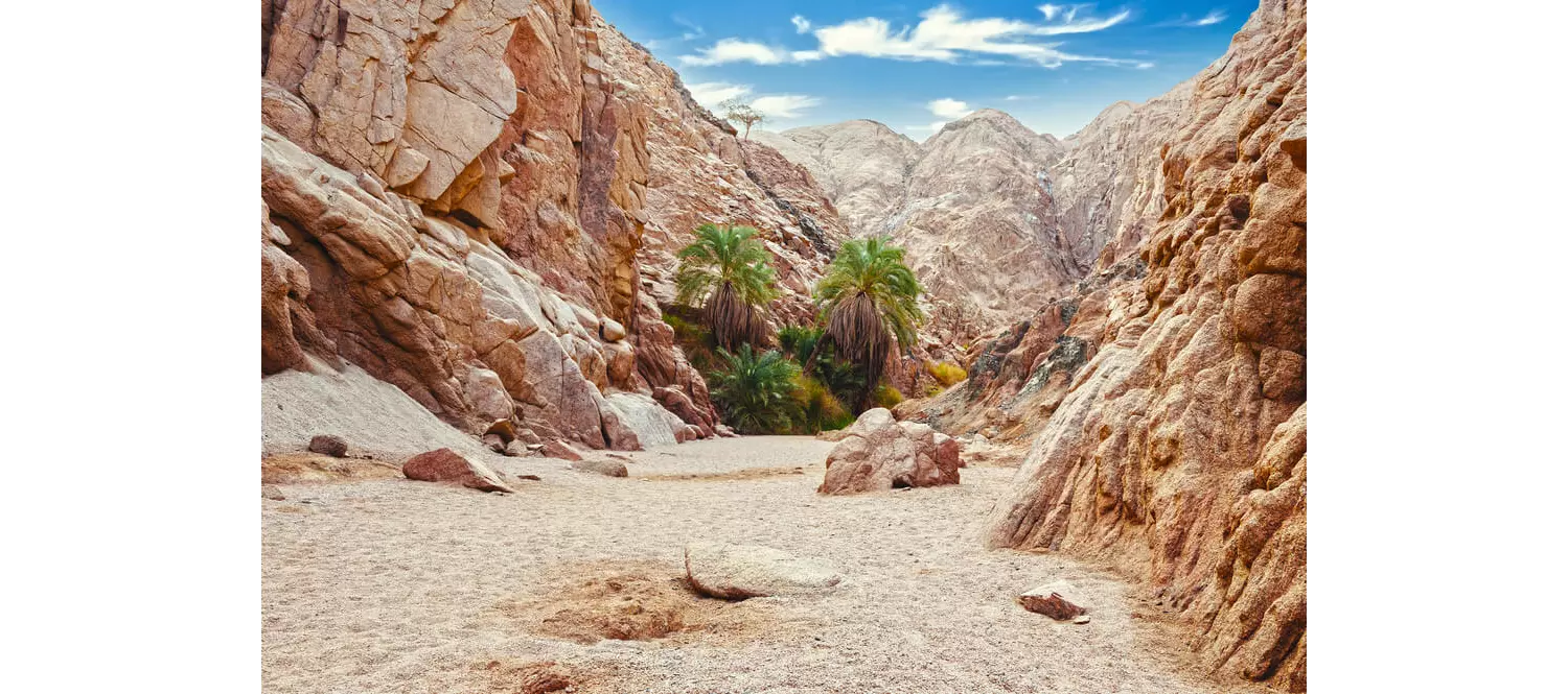 Visit different places in Egypt: A close-up view of the rocky Coloured Canyon