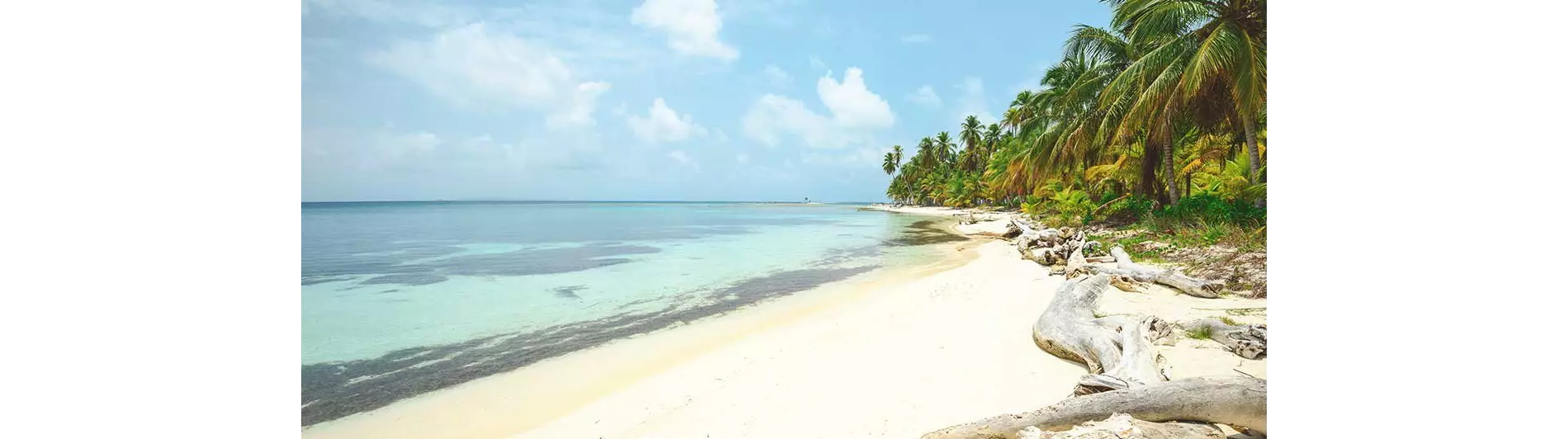 Vacanze isole caraibiche in paradisi naturali ancora cullati da pace e silenzio
