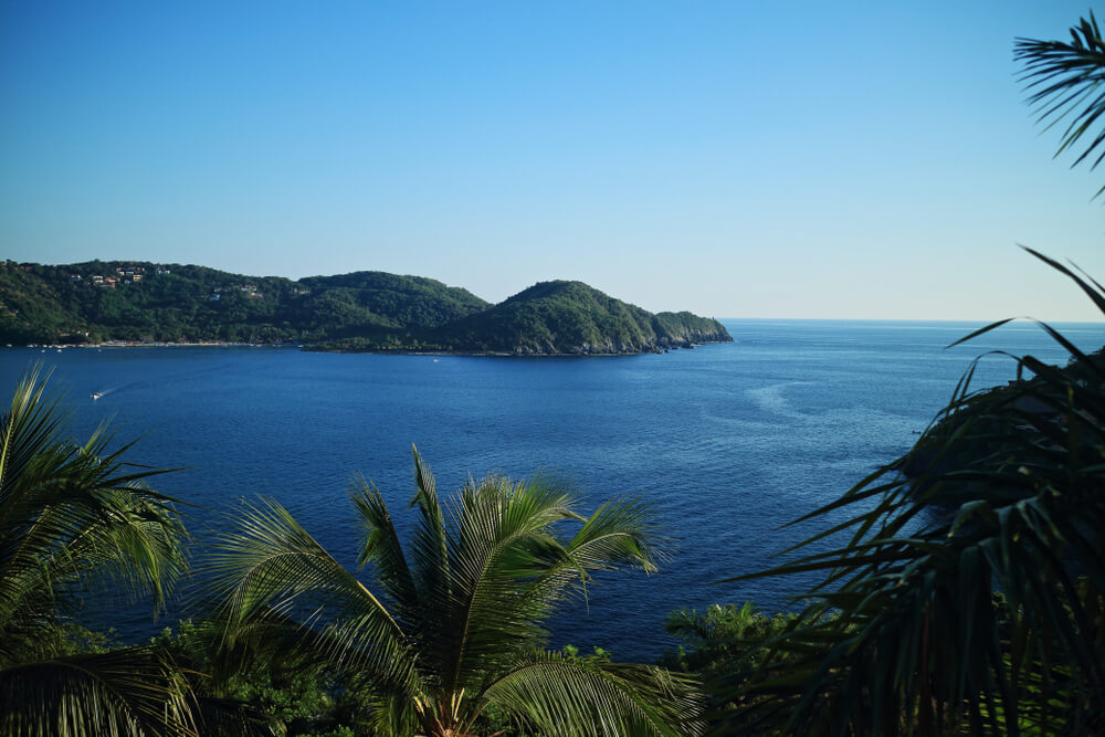 Ixtapa: A wide open ocean surrounded by greenery