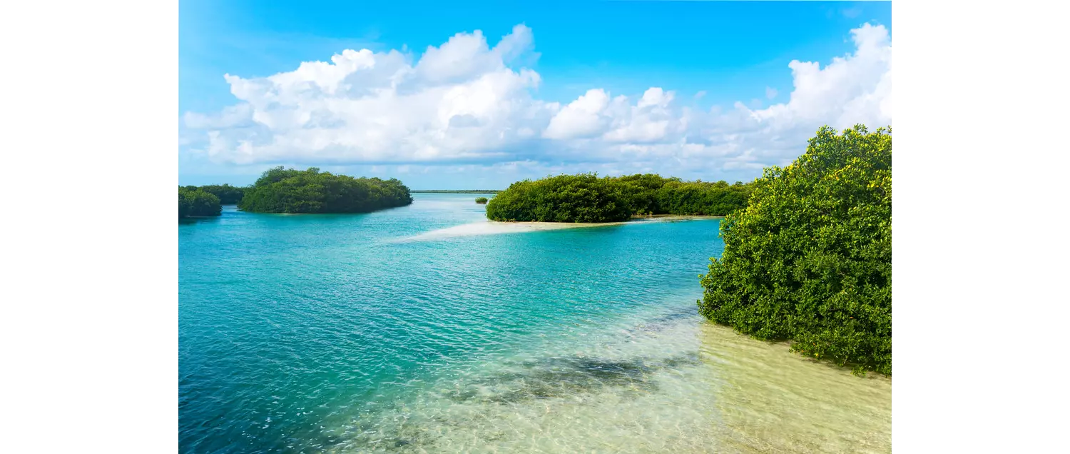 Travel through Mexico: Turquiouse water dotted with green shrubs in Sian Ka’an