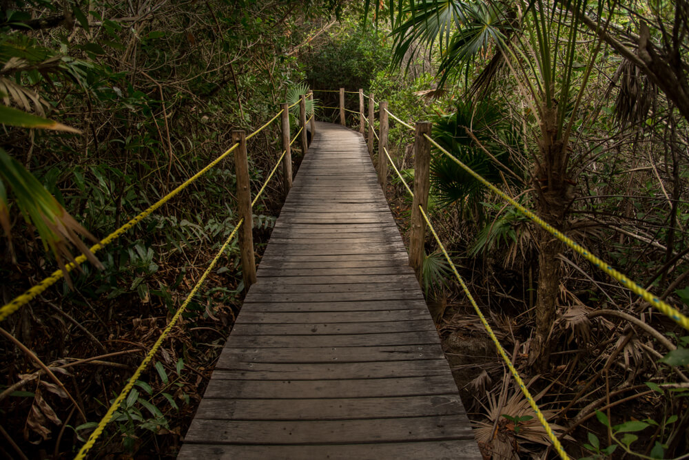 Weg durch den Urwald im Naturschutzgebiet Xcacel-Xcacelito bei Tulum.