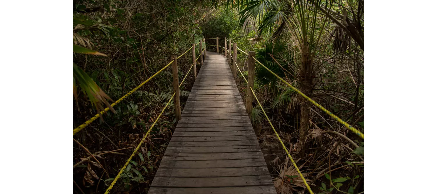 Weg durch den Urwald im Naturschutzgebiet Xcacel-Xcacelito bei Tulum.