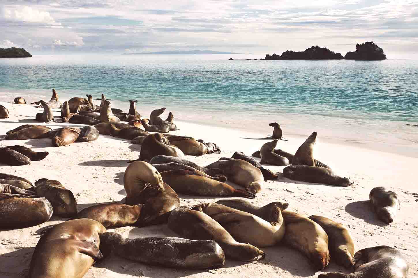 Destinos para viajar en 2019