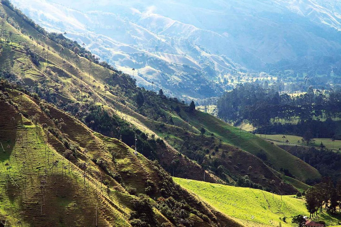 turismo_Colombia_cafe-e1601564032956