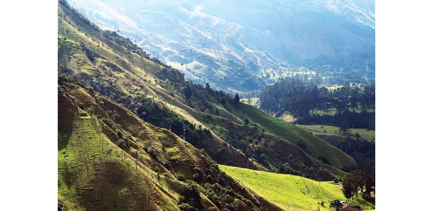 turismo_Colombia_cafe-e1601564032956