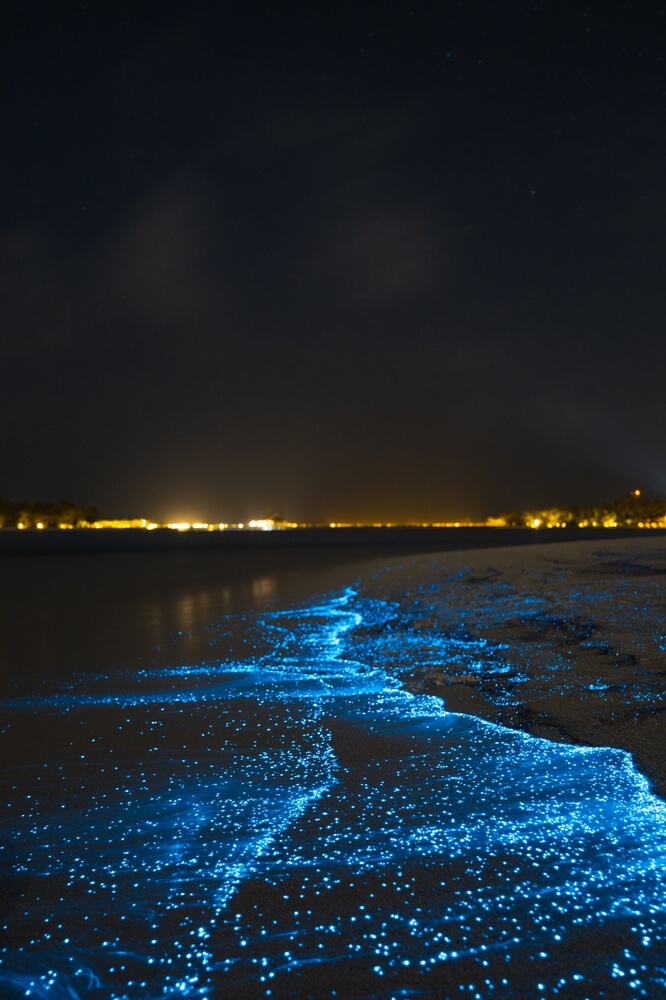 Meeresleuchten (Biolumineszenz) auf den Malediven.