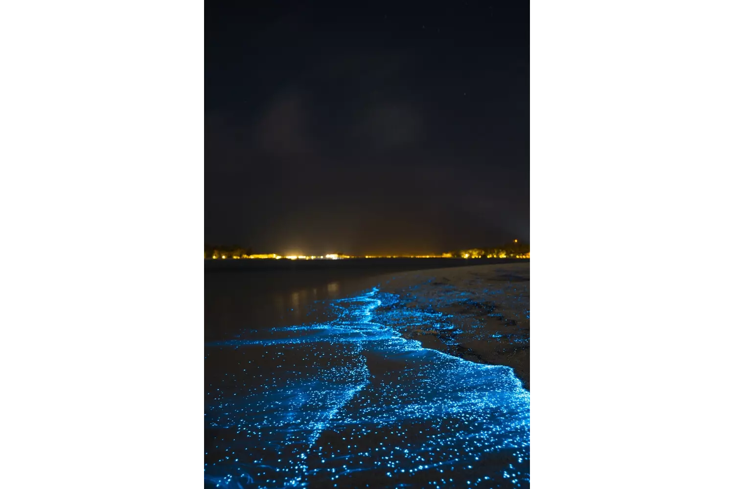 Meeresleuchten (Biolumineszenz) auf den Malediven.