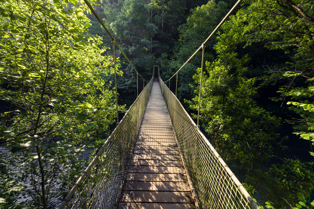 Hängebrücke im Naturpark Fragas do Eume, Galicien.