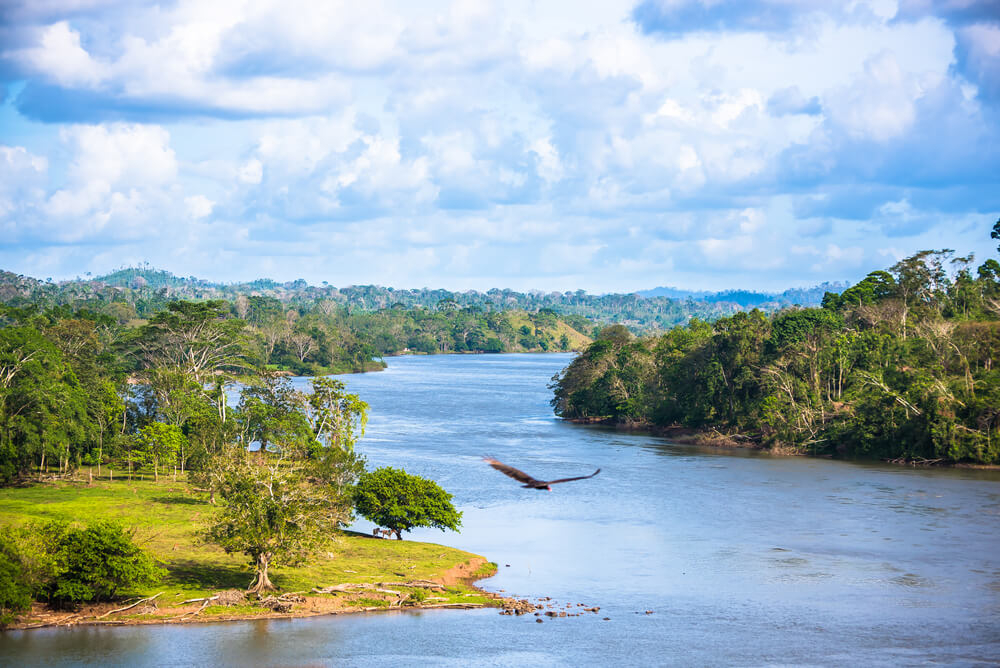 Urlaub in Nicaragua: Der Río San Juan mit vielen Bäumen am Ufer.