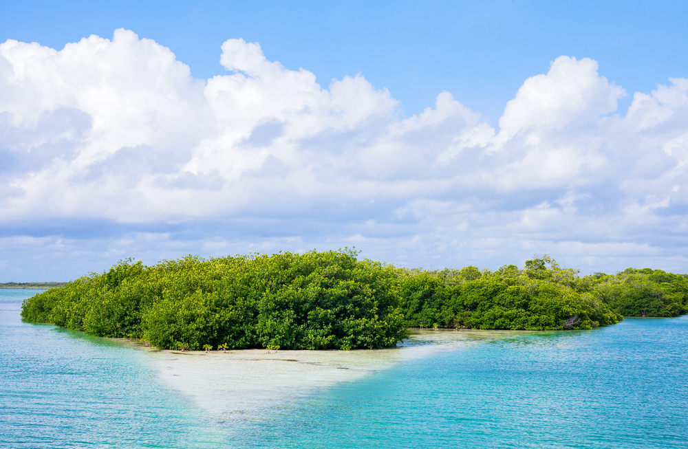 vacaciones cyber monday Quintana Roo, Mexico, the Sian Ka'an lagoon reserve