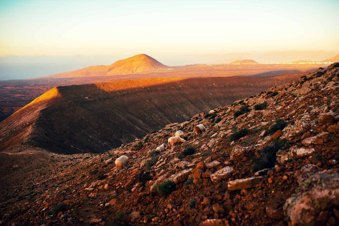 Le Canarie ottobre sono la destinazione ideale per continuare a vivere l'estate