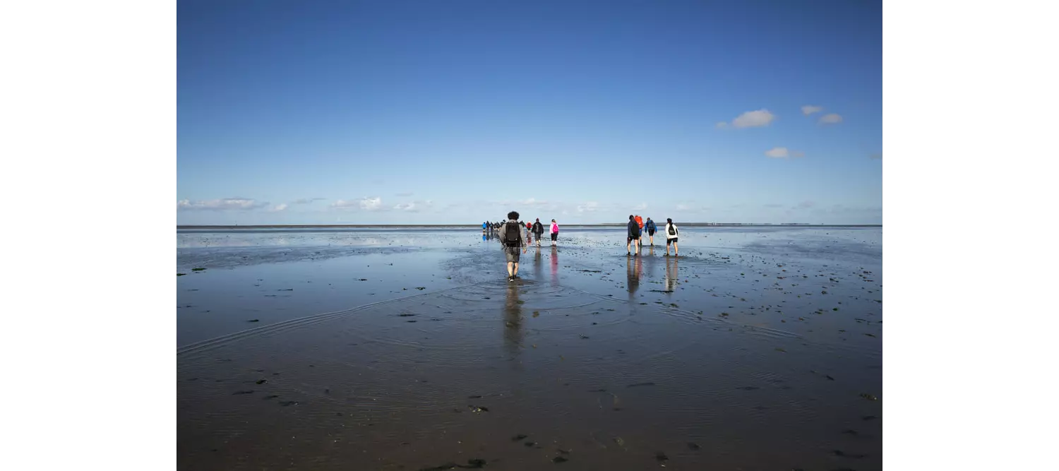 Wattwanderung im Wattenmeer.