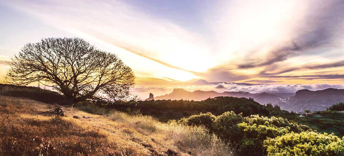 Vacanze canarie nei luoghi leggendari e le grotte degli antichi abitanti