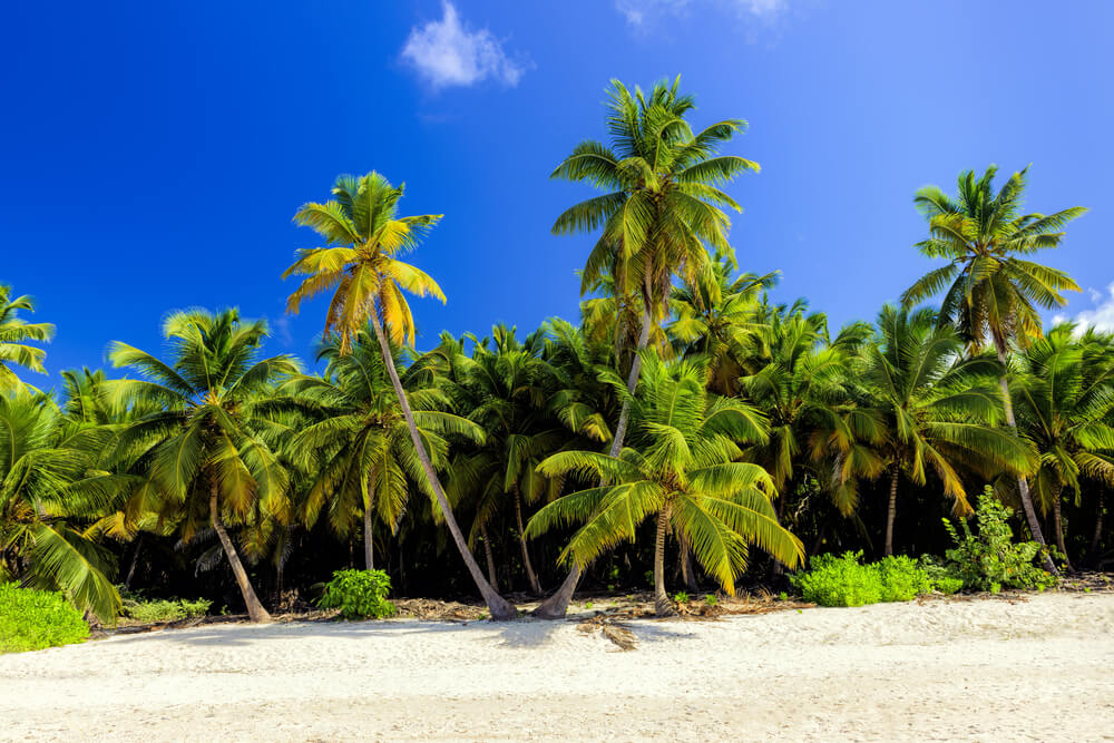 viajar a punta cana en diciembre 