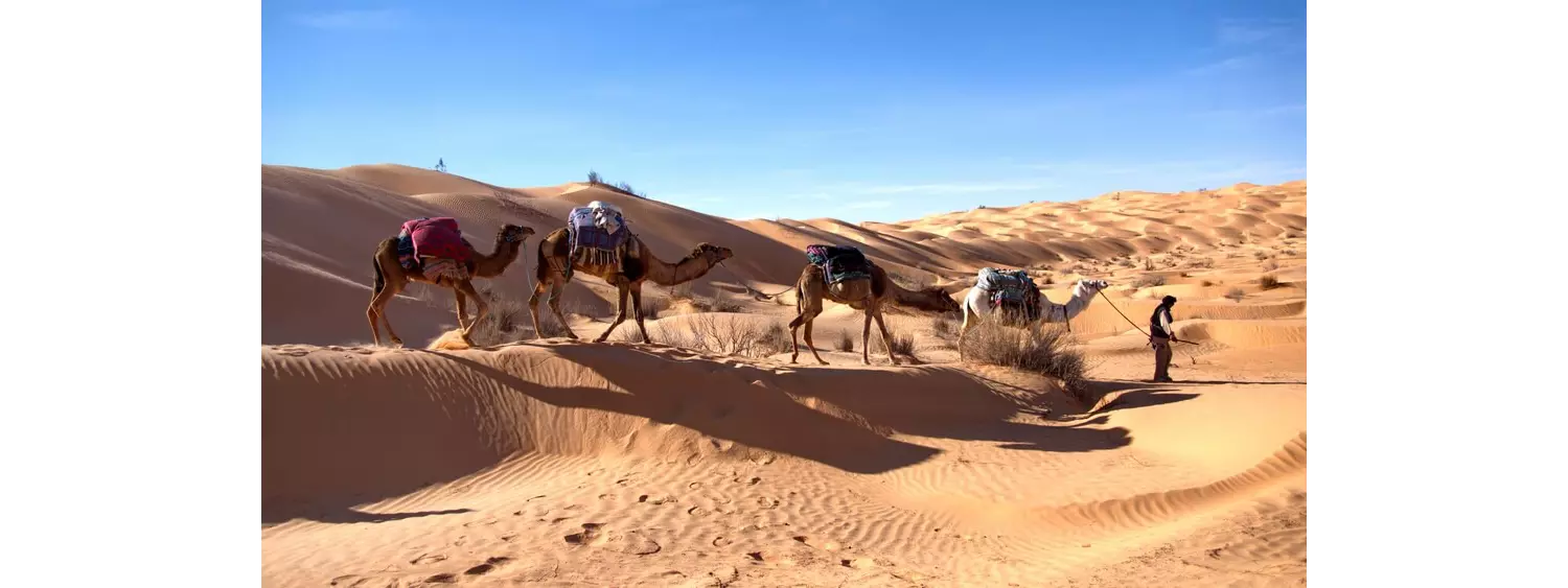 viajar a tunez