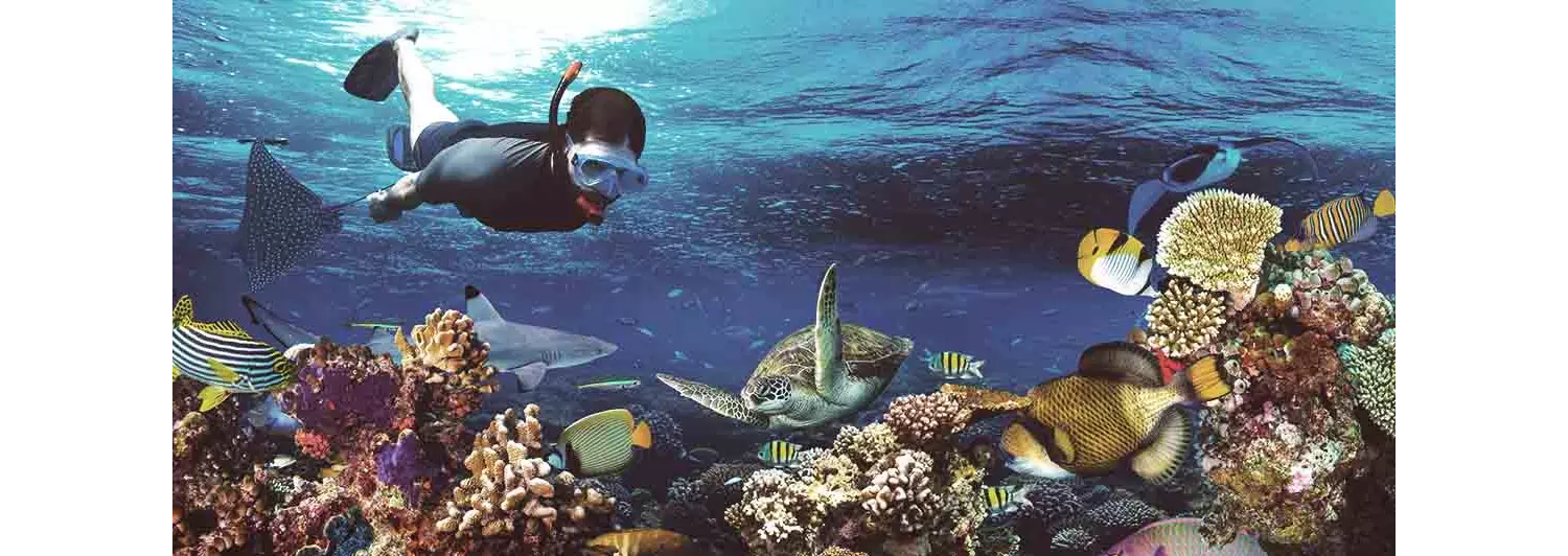 viajes-de-buceo-1
