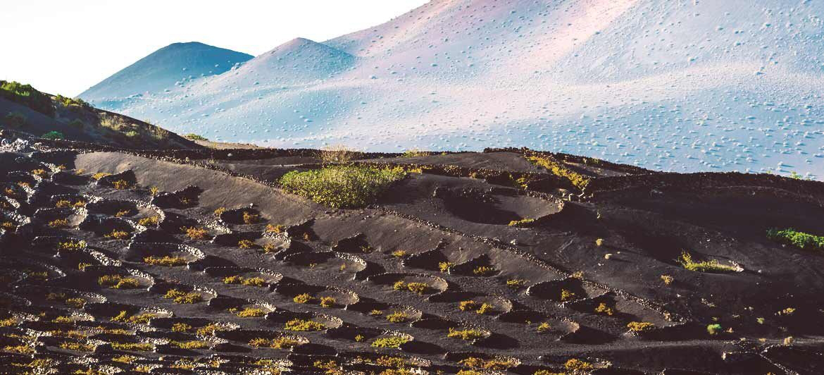 Vous recherchez les meilleurs vins et vous ne savez pas où partir en septembre?