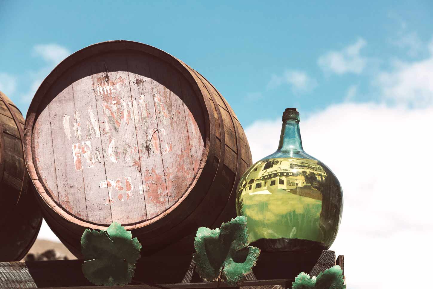 vinos-de-gran-canaria