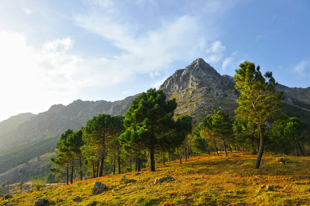 Landschaft im Naturpark Sierra de Grazalema.