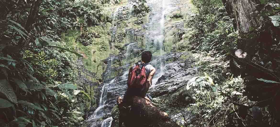 Alle karibischen Inseln eignen sich zum Wandern.