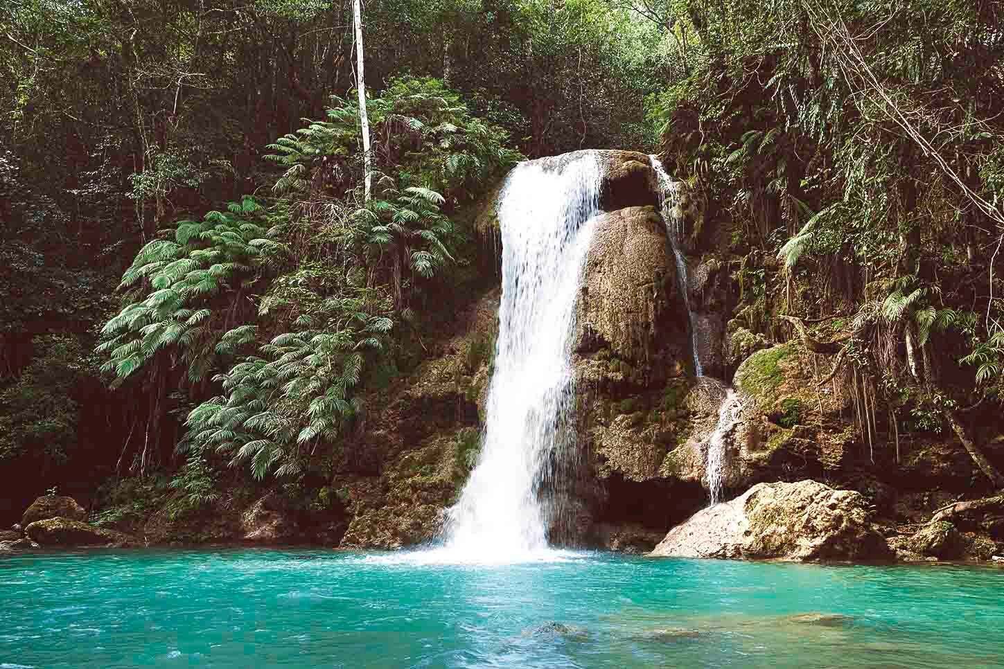In der Karibik Flora und Fauna entdecken.