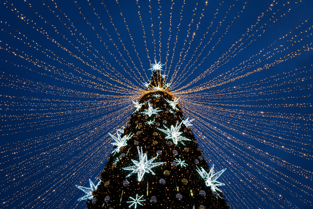 Weihnachtstraditionen weltweit: Christbaumkugel in einer Palme.