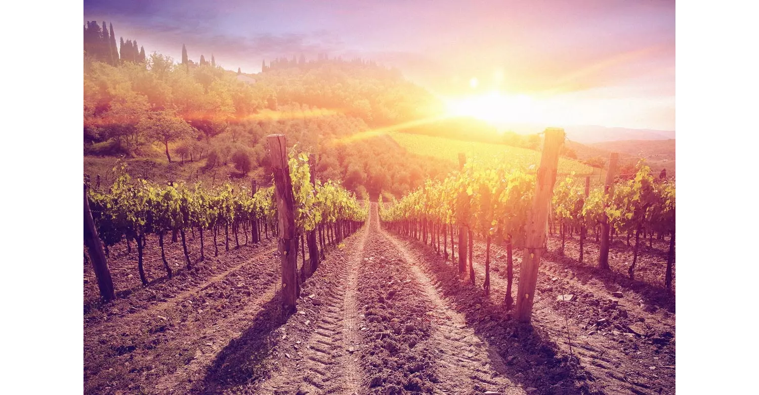 weinregionen-spaÖnotourismus in Spanien: Sonne und Weinbergenien_oenotourismus-in-spanien