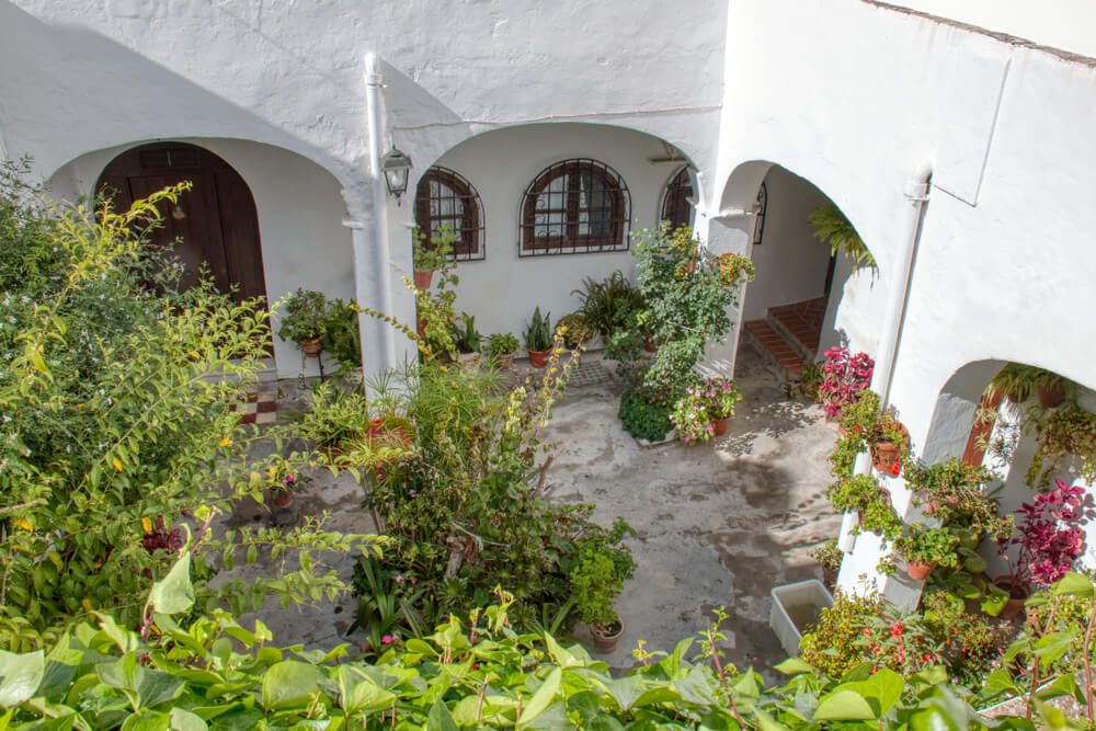 Innenhof mit weißen Wänden und Pflanzen in einem andalusischen Haus.