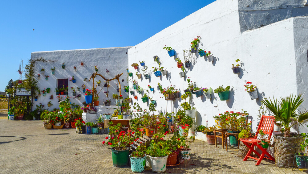 Blumentöpfe an einer weiß getünchten Hauswand in Andalusien.