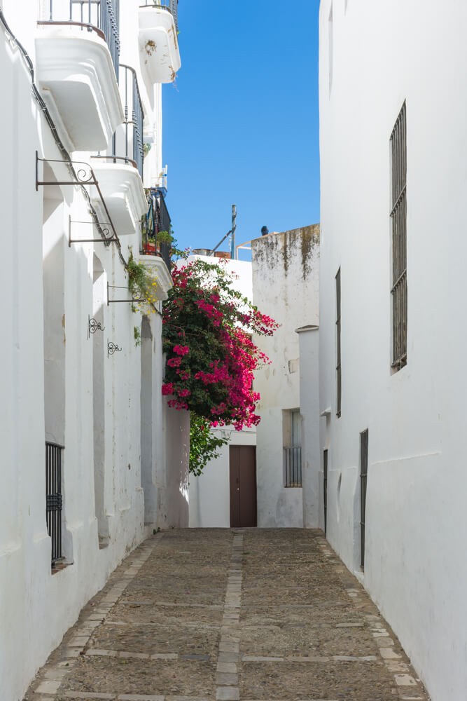 Bougainvillea hängt über eine weiße Häuserwand in Vejer de la Frontera.