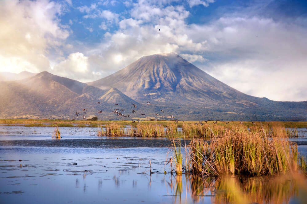 Lake Nicaragua is one of the best places to visit in Nicaragua for birdwatchers