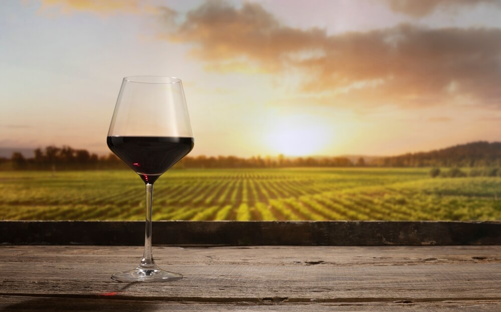 Wine regions of Spain: A wooden table with a cask, bottles and wine glass