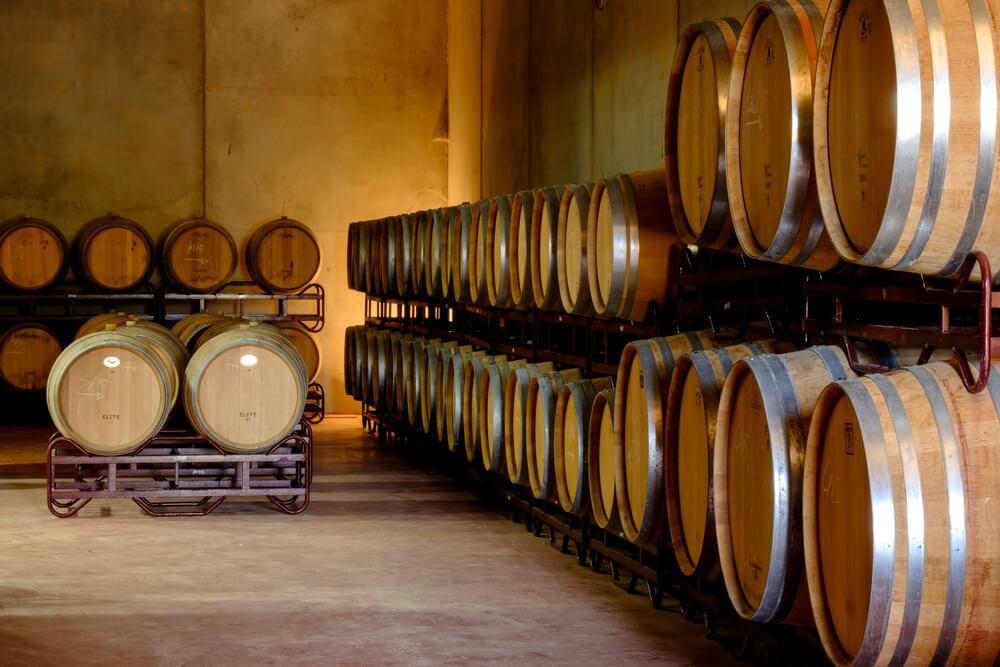 Barrels: Wine barrels in a winery