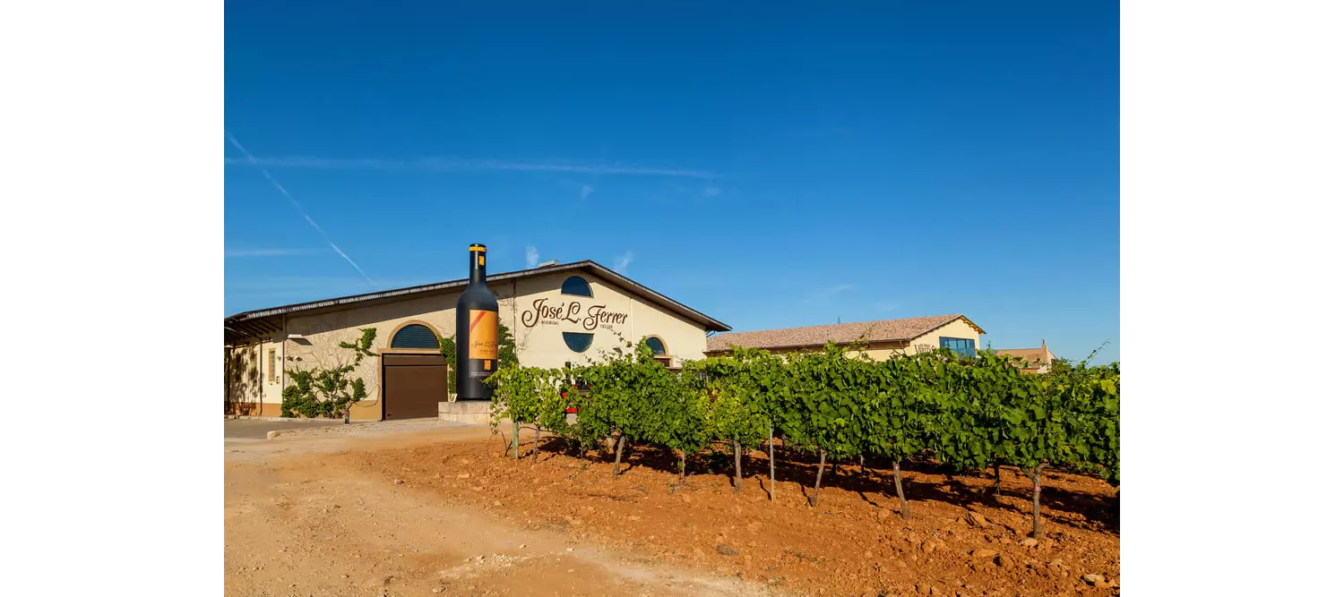 José L Ferrer: The entrance to the winery with grapevines growing in front 