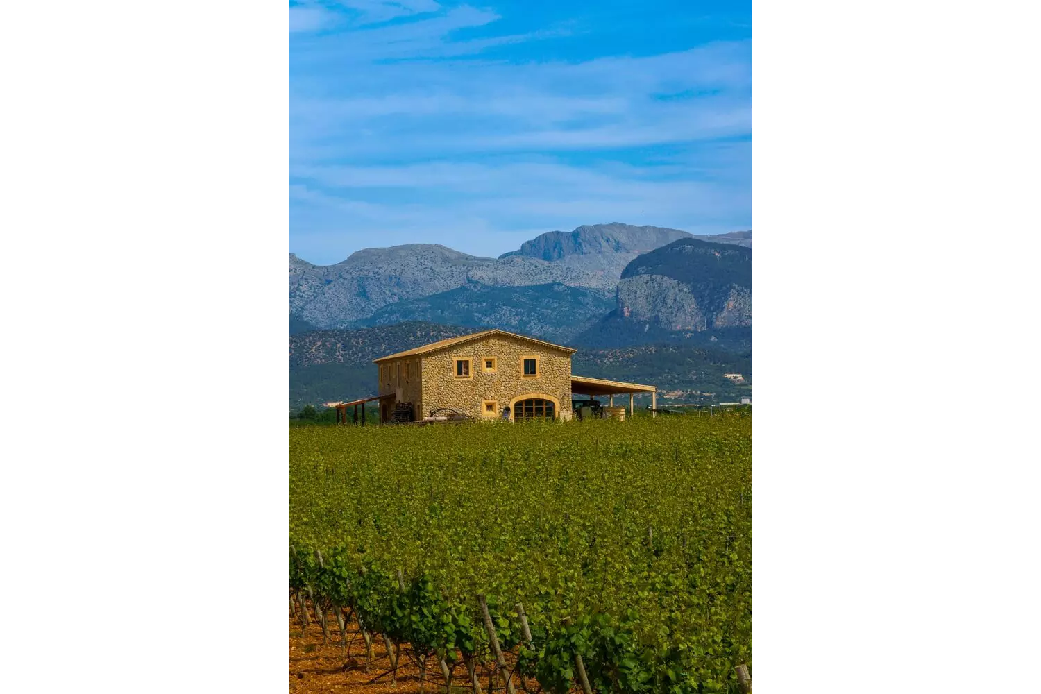 Macià Batle: An old house surrounded by vineyards and mountains