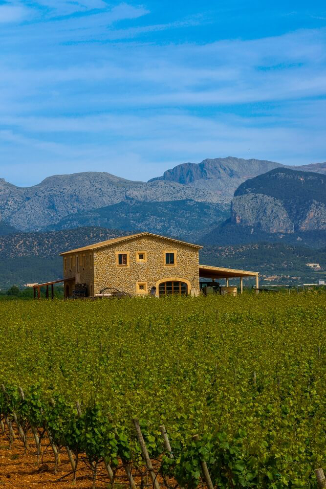 Macià Batle: An old house surrounded by vineyards and mountains