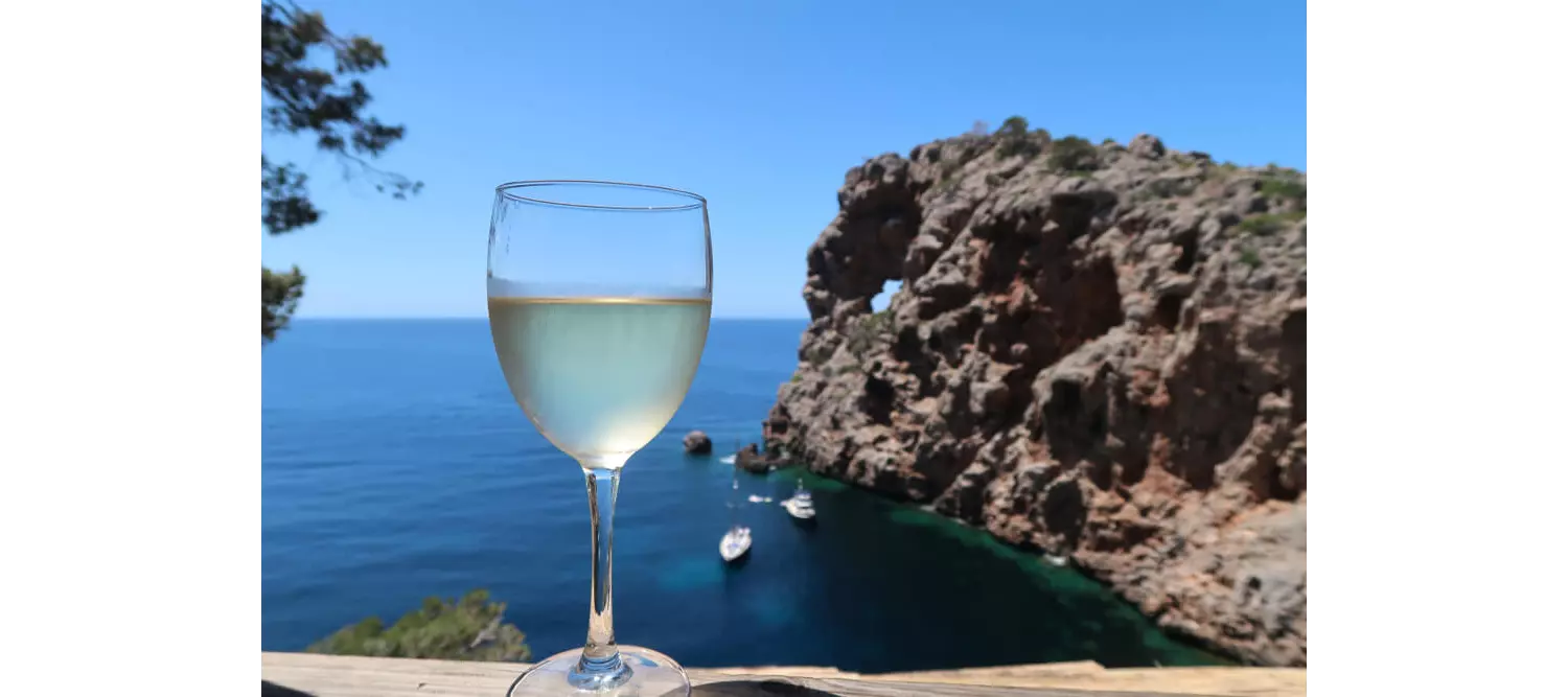 A glass of white wine with the ocean in the background