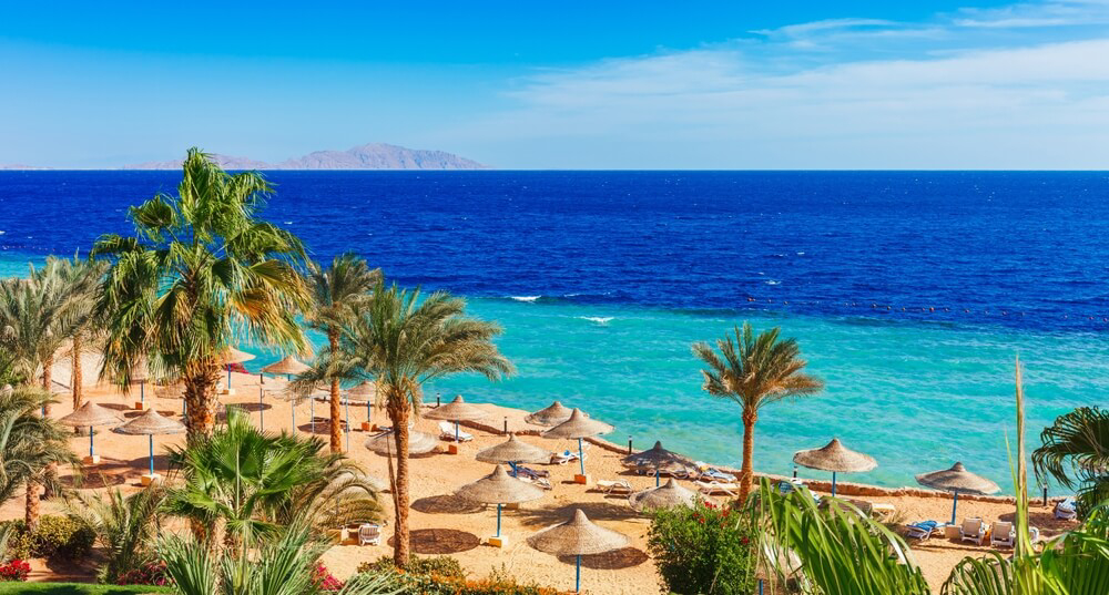 Egypt: A golden sand beach with palm trees, loungers and topaz water