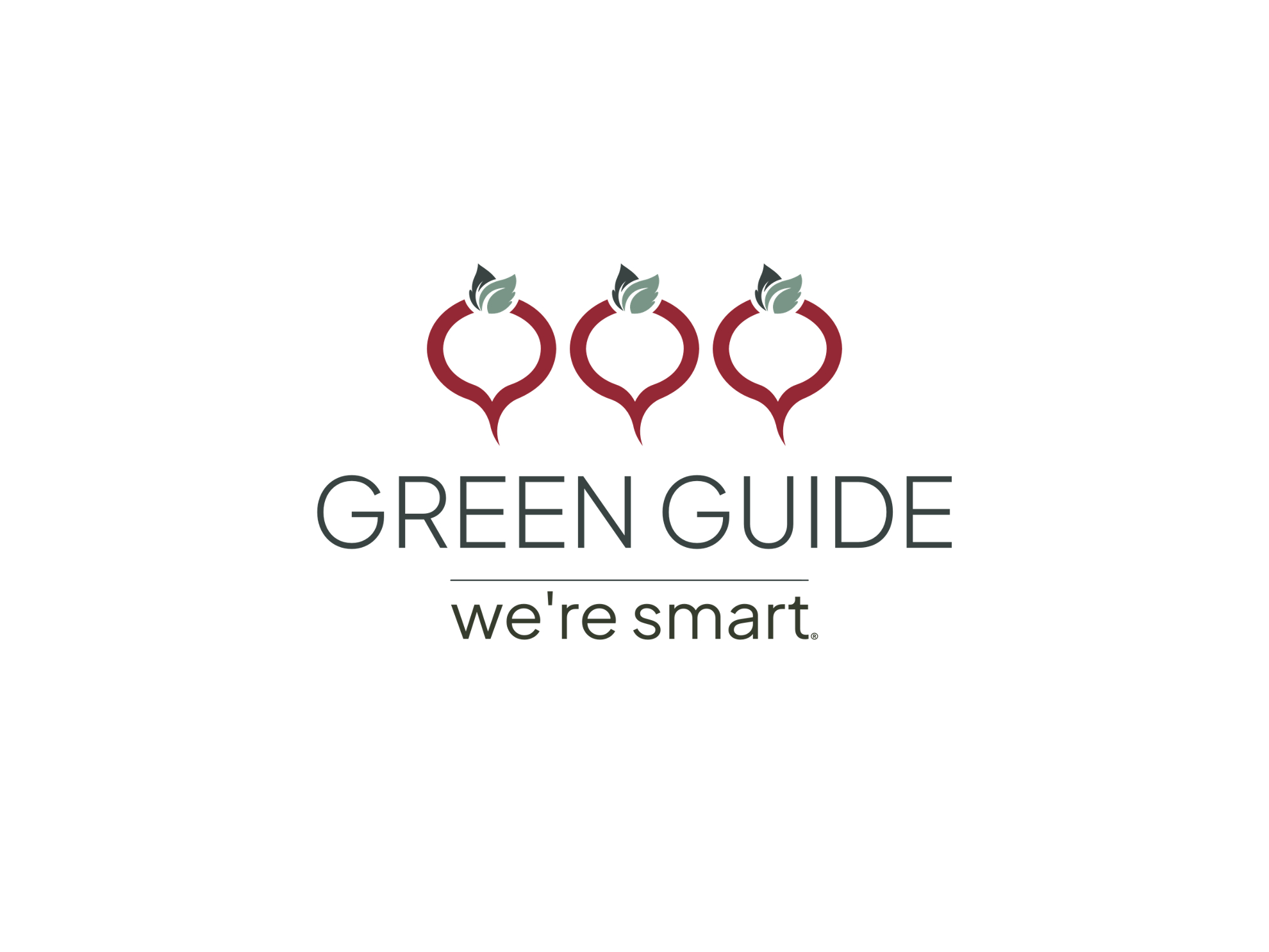 WS GREEN GUIDE + 3 RADIJZEN 250923