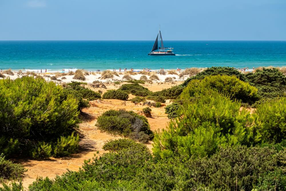 Sailing boat on the Cadiz Ocean with golden sand