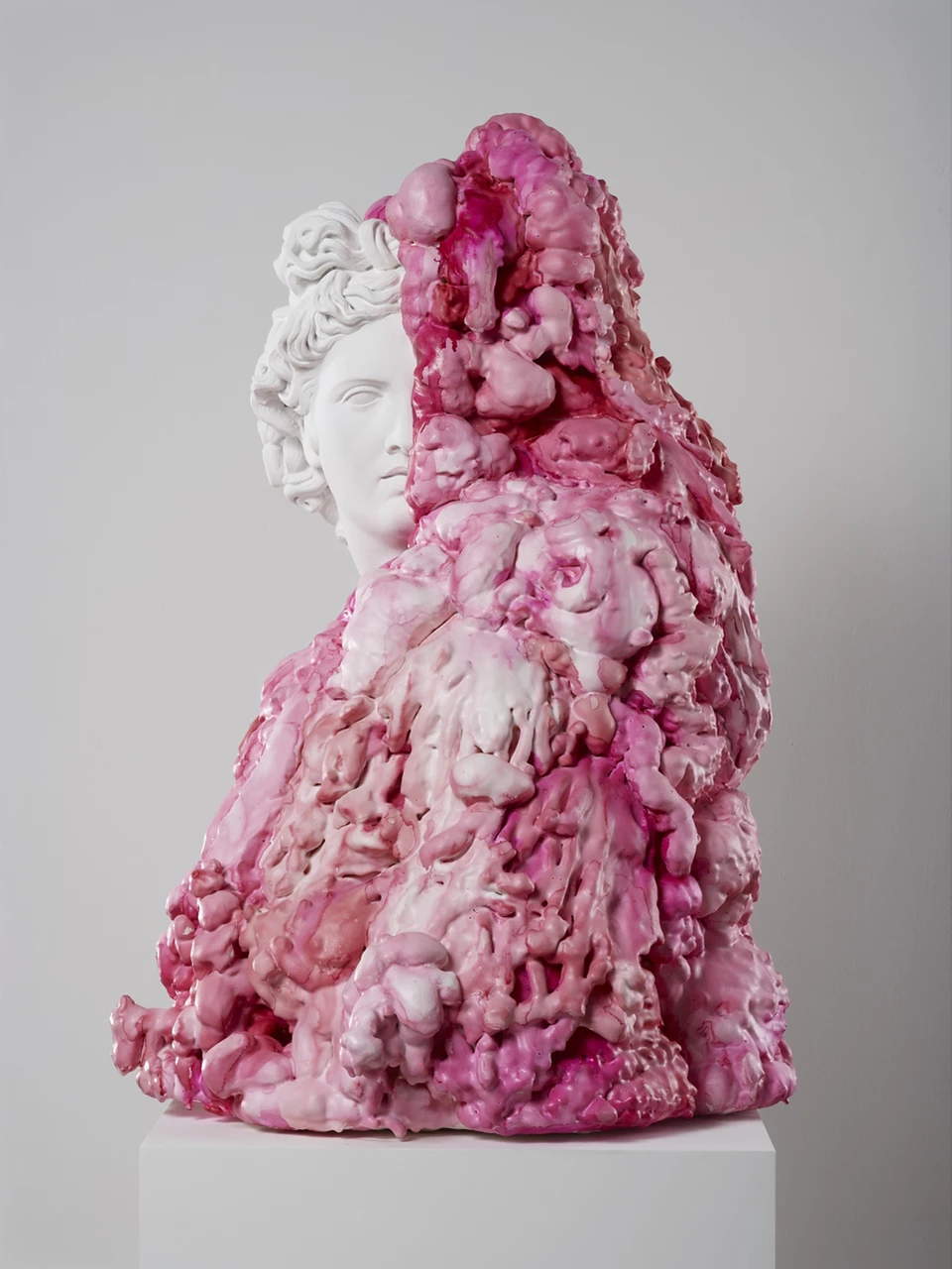 Exposició "El culte a la bellesa"
