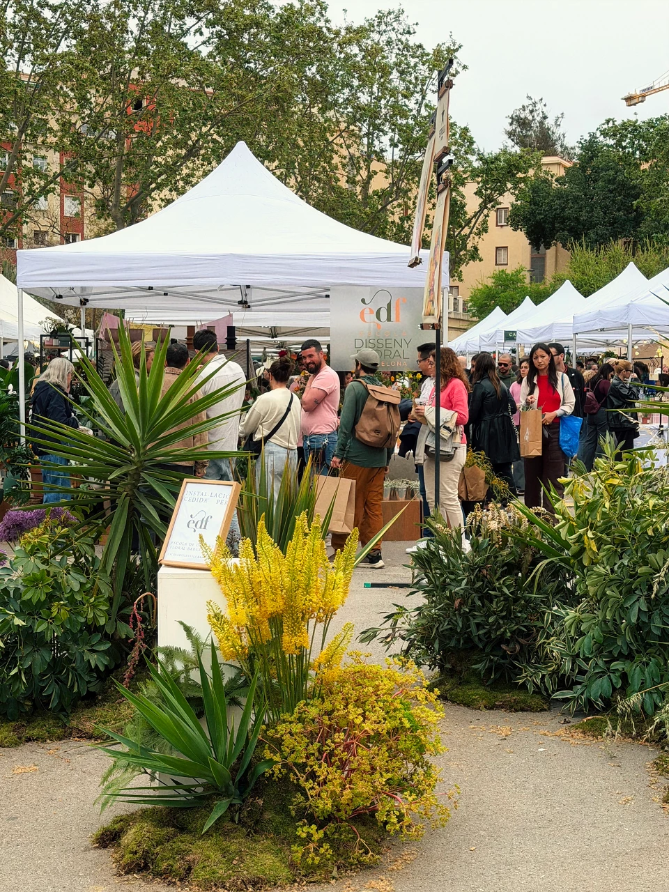 Flors al Mercat Festival