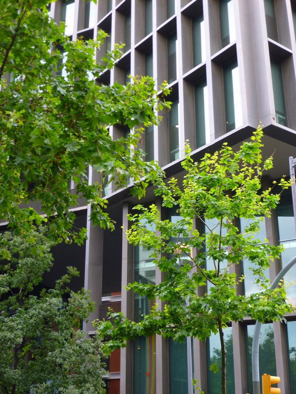Detall Façana amb arbre al davant