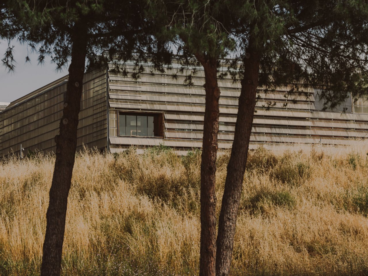 Institut de Ciència i Tecnologia Ambientals (ICTA-UAB)