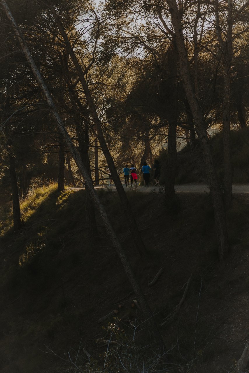 Persones corrent per un camí de terra entre arbres, en una zona boscosa amb llum de tarda.